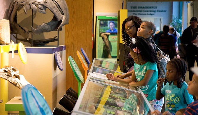 The Mississippi Museum of Natural Science will host a Fossil Road Show on Saturday, March 5, from 10 a.m. to 3 p.m. Photo courtesy MDWFP