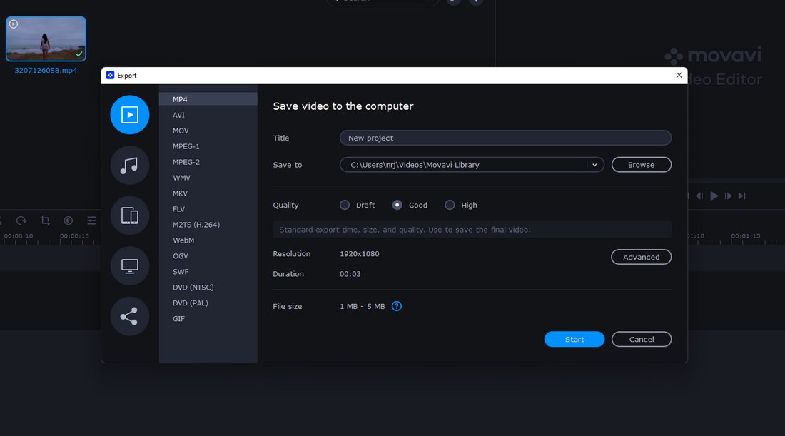 movavi export options